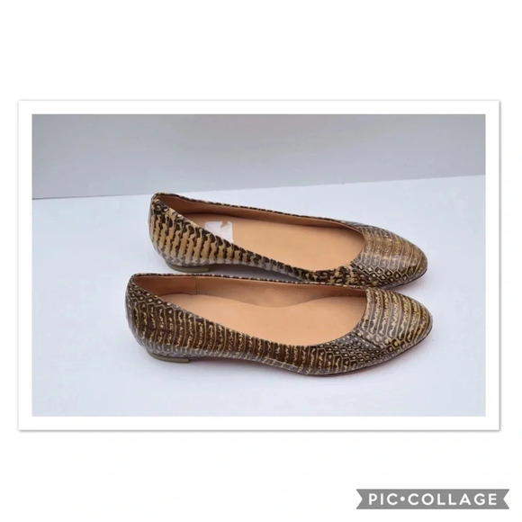 Daniblack flats - Picture 6 of 8